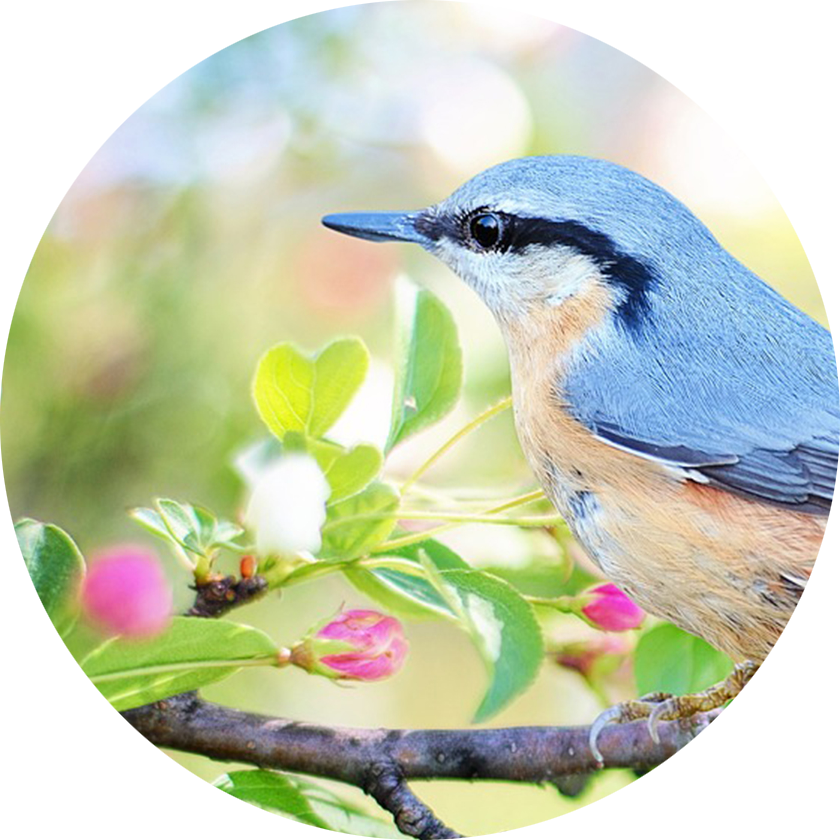 Qui suis-je ? Hélène Gerber Sophrologue à Dax